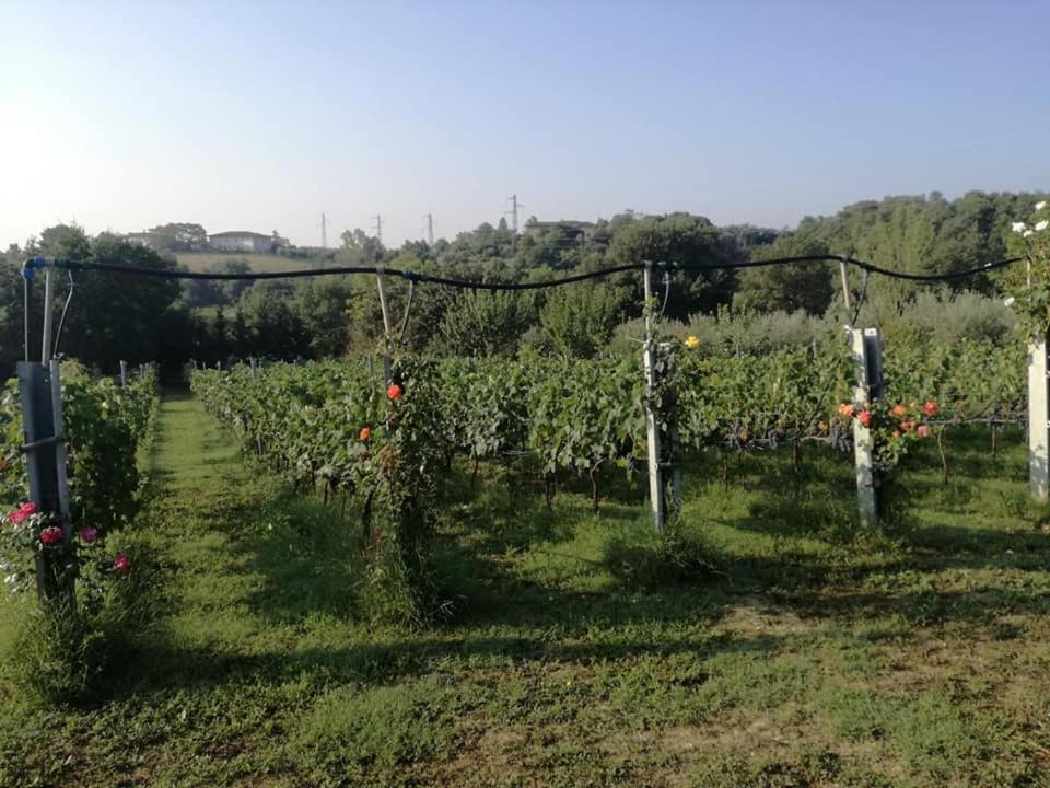 Willa Il Casale Di Lucullo Lucignano Zewnętrze zdjęcie