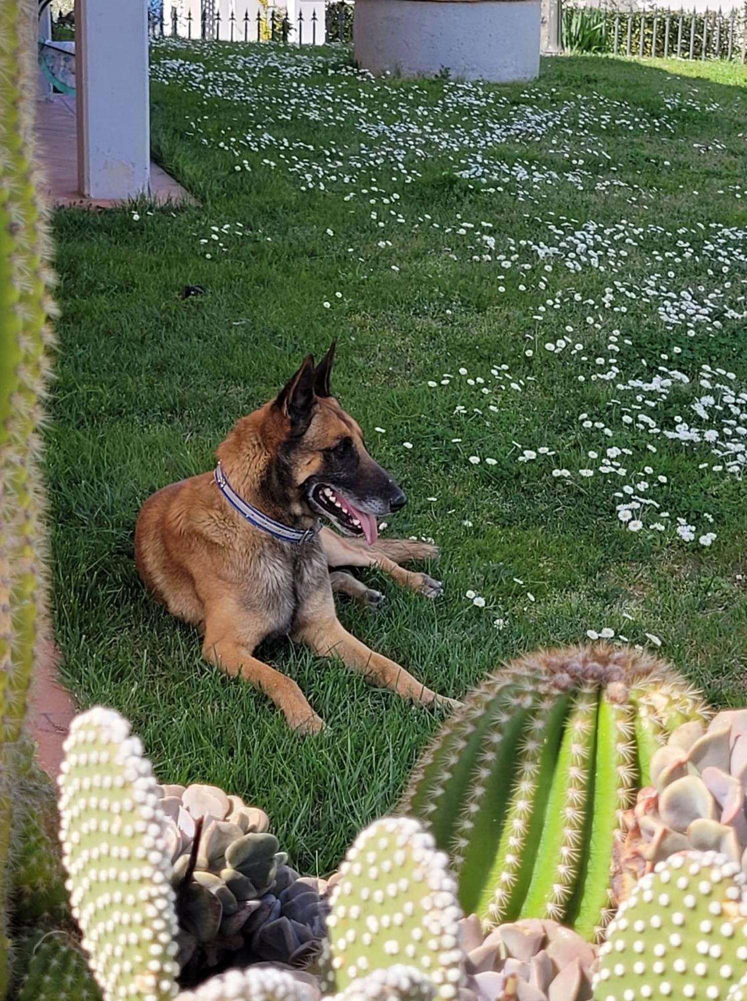 Willa Il Casale Di Lucullo Lucignano Zewnętrze zdjęcie